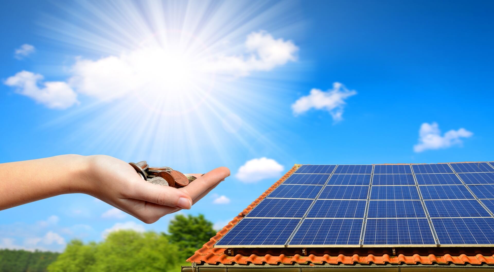 solar-pic-1.jpg?anchor=center\u0026mode=crop\u0026width=800\u0026height=800\u0026rnd=133367659793970000